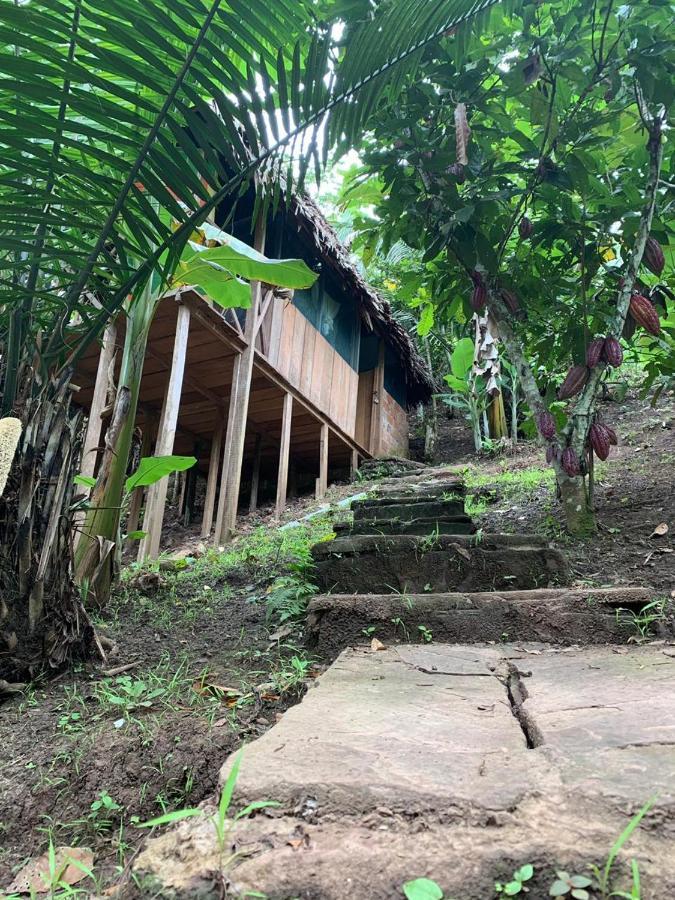 Katari Center Villa Tarapoto Exterior photo