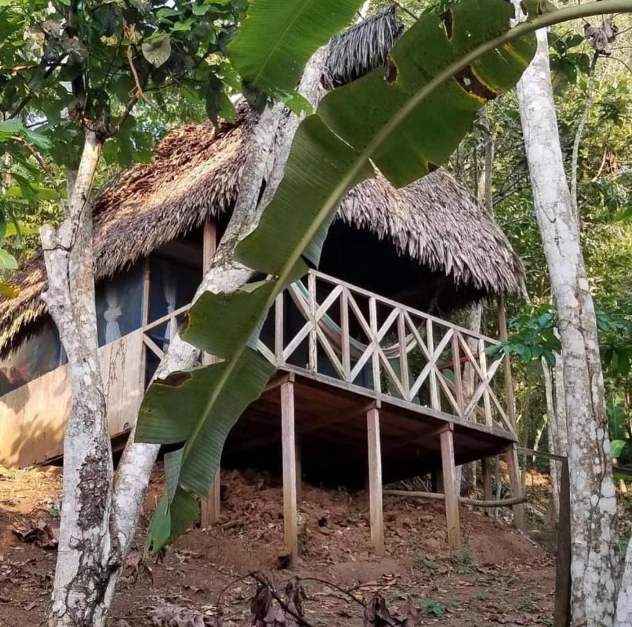 Katari Center Villa Tarapoto Exterior photo